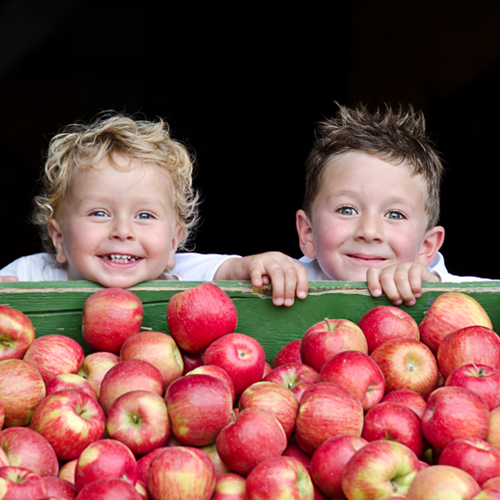 enfants avec pommes