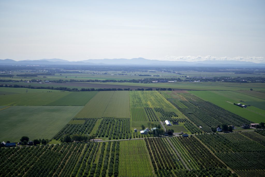 Vue aérienne terres agricoles Montérégie
