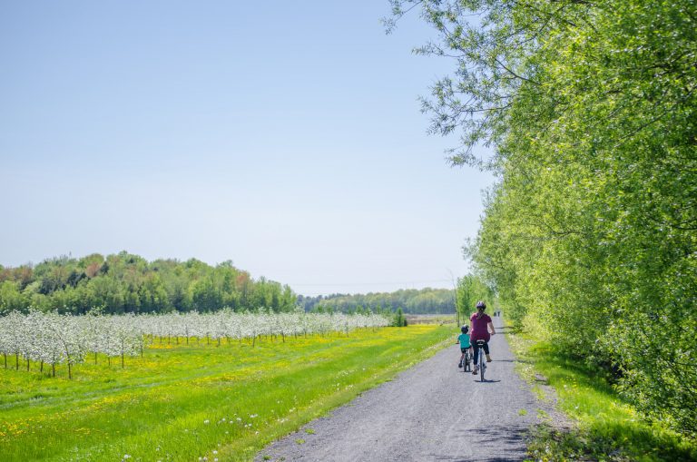 Sortie à vélo parmi les pommiers en fleurs - Tourisme au Cœur de la Montérégie