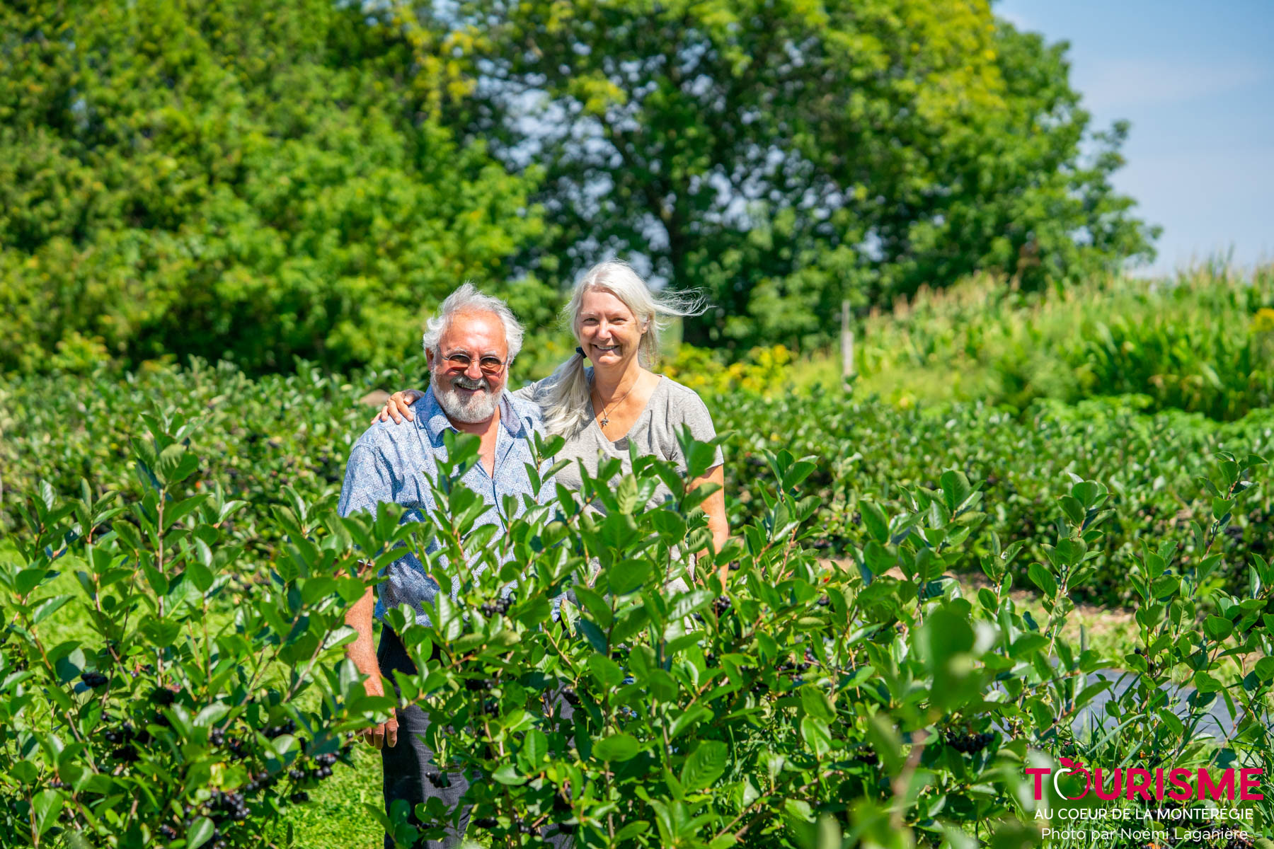 Mario et Lise, propriétaires des Jardins Émergents de Marieville parmi leurs plants d'aronia